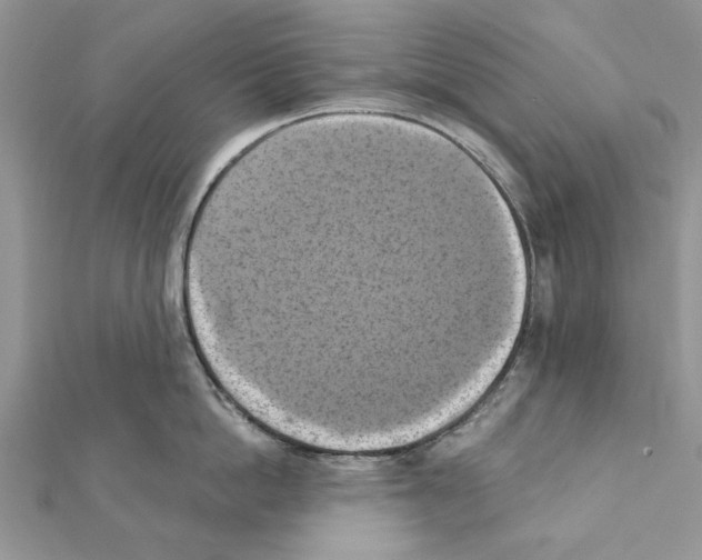 X0000111360862200908211255