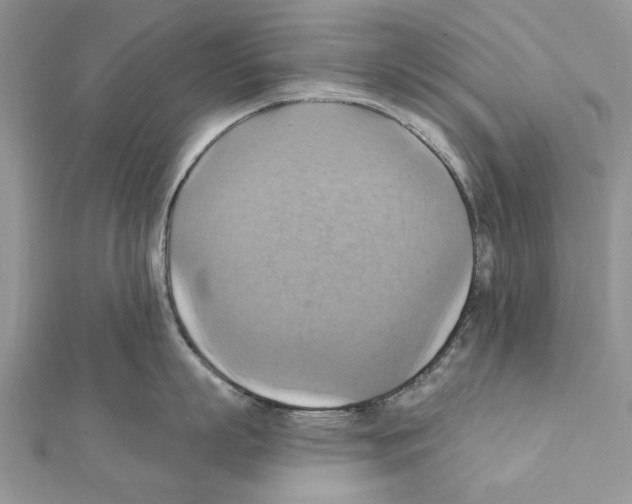 X0000111360863200908211255