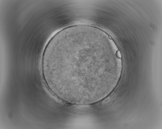 X0000111360864200908211255