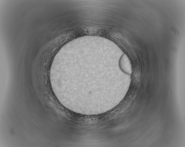 X0000111360865200908211255
