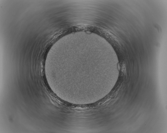 X0000111360868200908211255