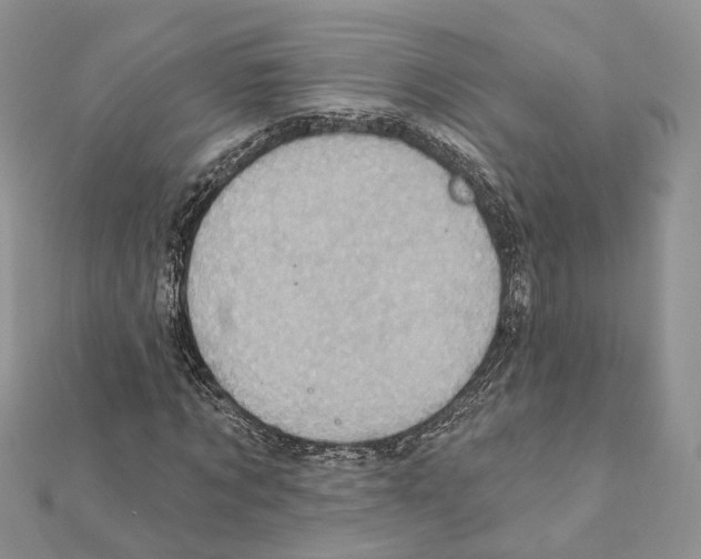 X0000111360869200908211255