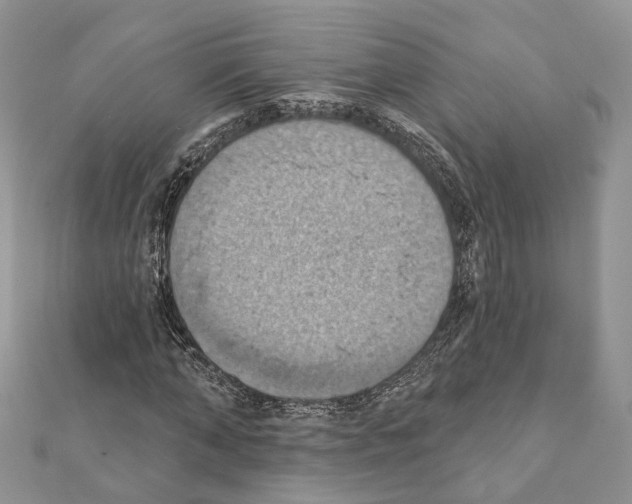 X0000111360870200908211255