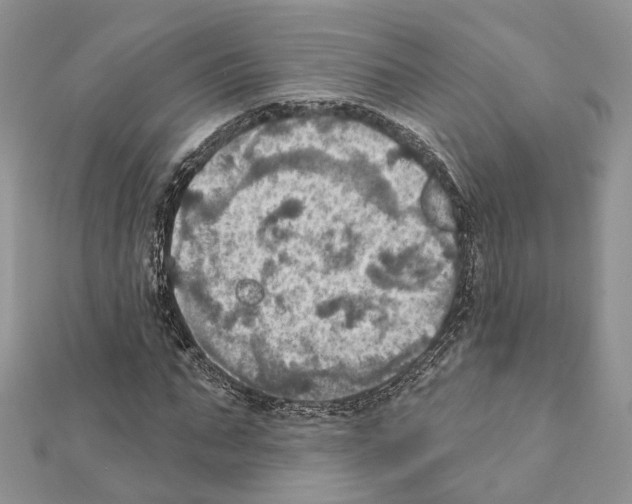 X0000111360871200908211255