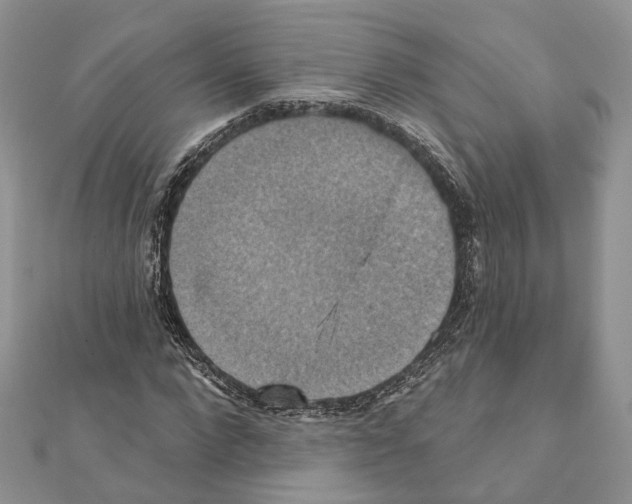 X0000111360872200908211255