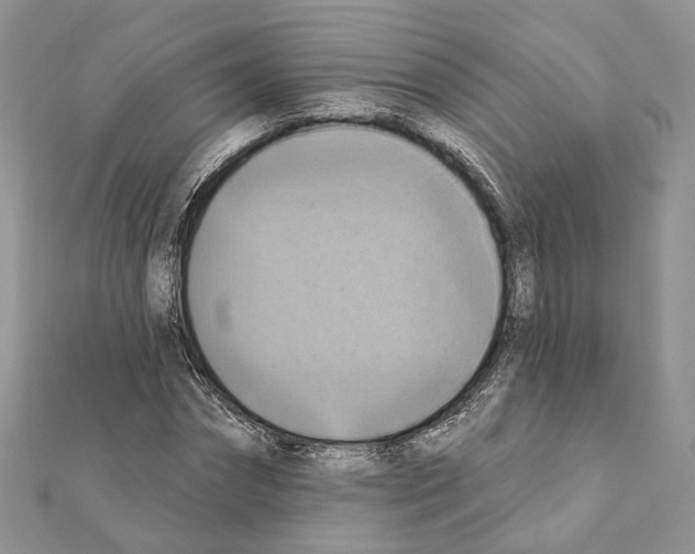 X0000111360874200908211255
