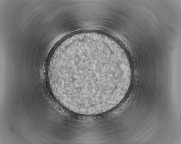 X0000111360875200908211255