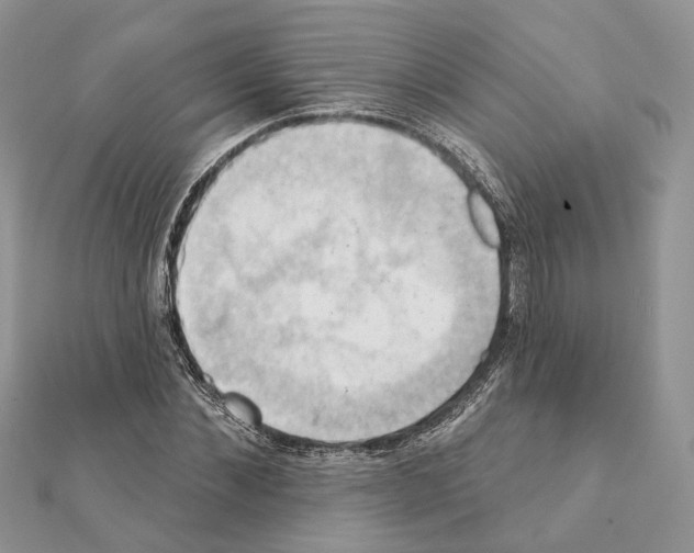 X0000111360876200908211255