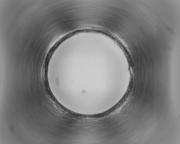 X0000111360877200908211255