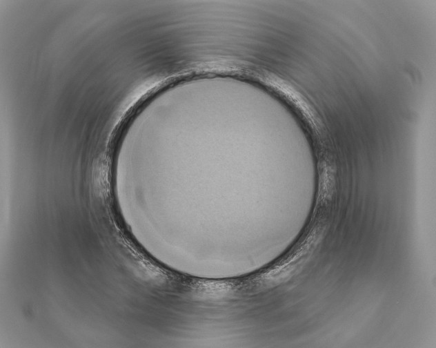 X0000111360878200908211255
