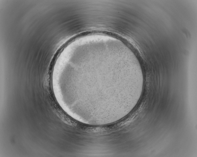 X0000111360879200908211254