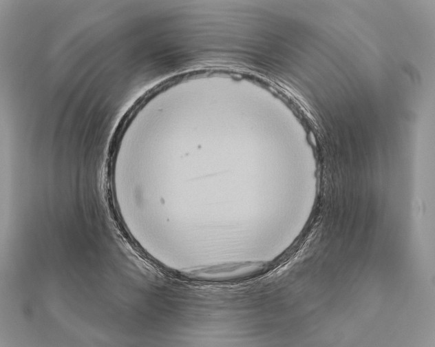 X0000111360880200908211254