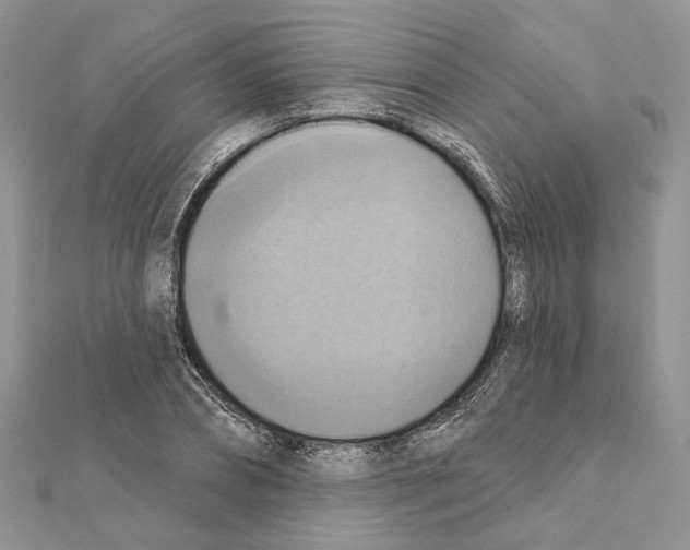 X0000111360882200908211254