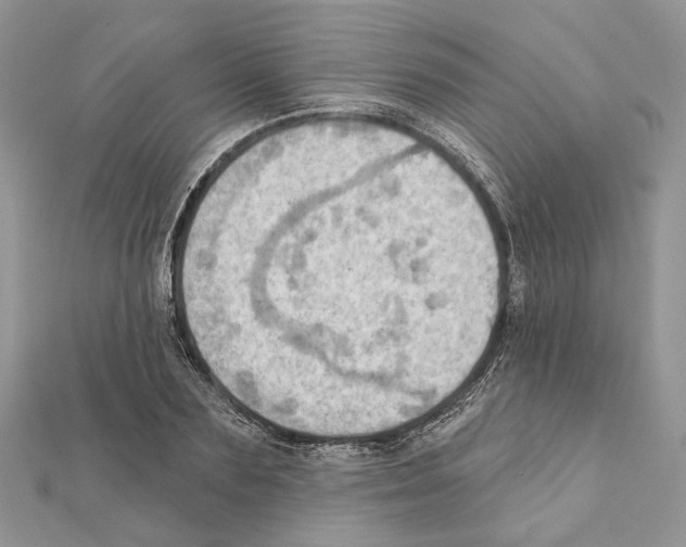 X0000111360883200908211254