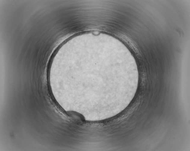X0000111360884200908211254
