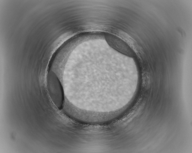 X0000111360885200908211254