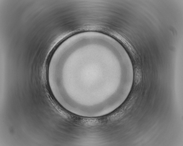 X0000111360886200908211254