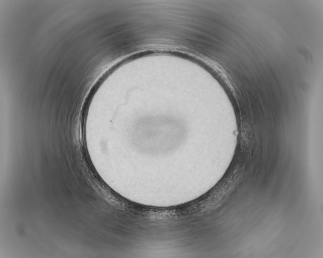 X0000111360887200908211254