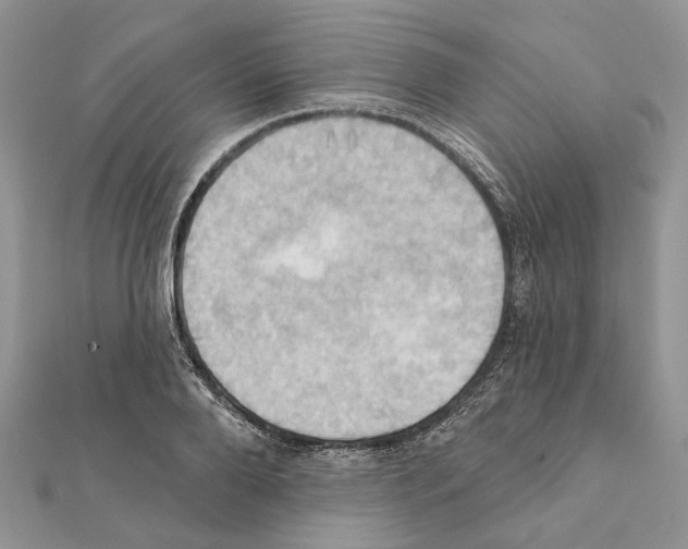 X0000111360888200908211254
