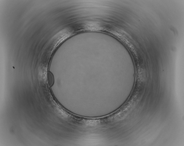 X0000111360889200908211254