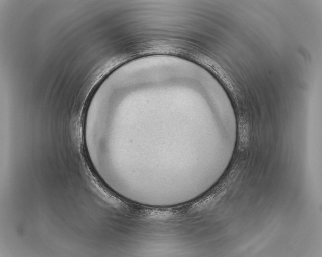 X0000111360890200908211254