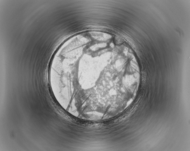 X0000111360891200908211254