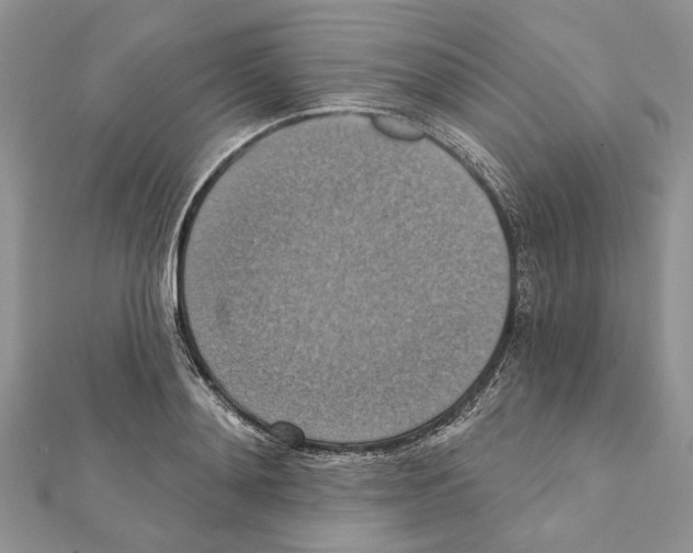 X0000111360892200908211254