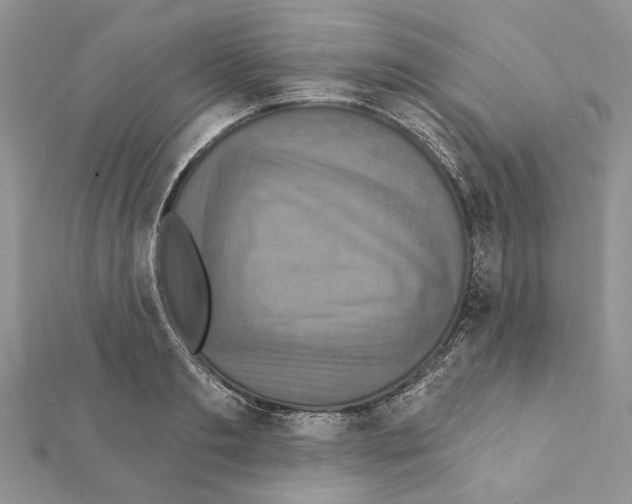 X0000111360893200908211254