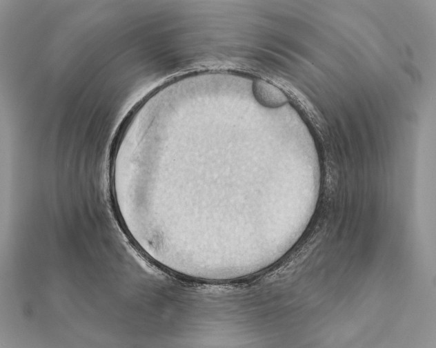 X0000111360894200908211254