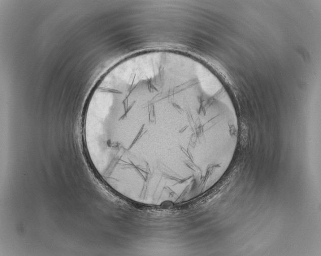 X0000111360895200908211254