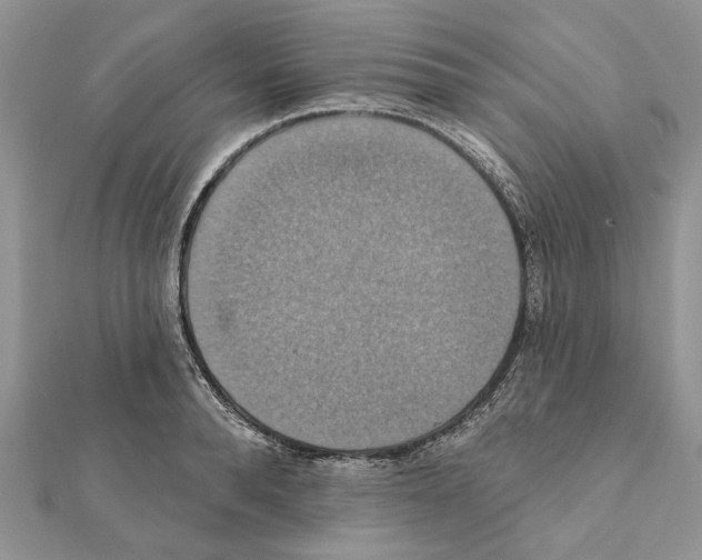 X0000111360896200908211254