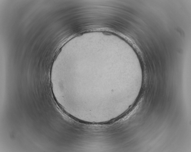 X0000111360897200908211254