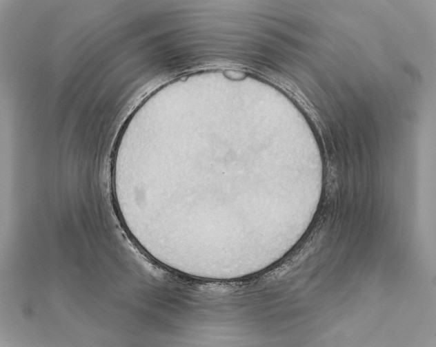 X0000111360898200908211254