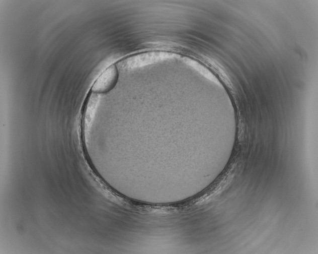 X0000111360899200908211254
