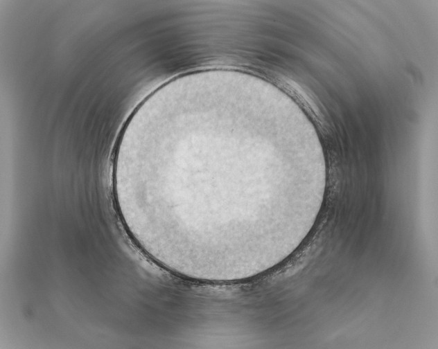 X0000111360900200908211254