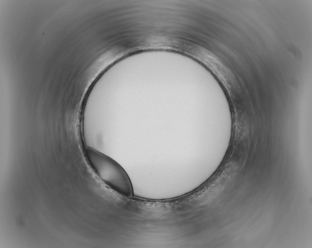 X0000111360901200908211254