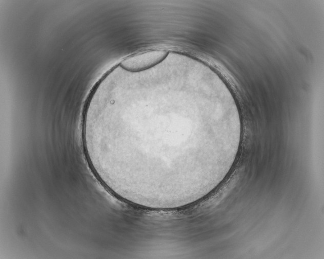 X0000111360902200908211254