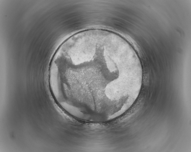 X0000111360903200908211254