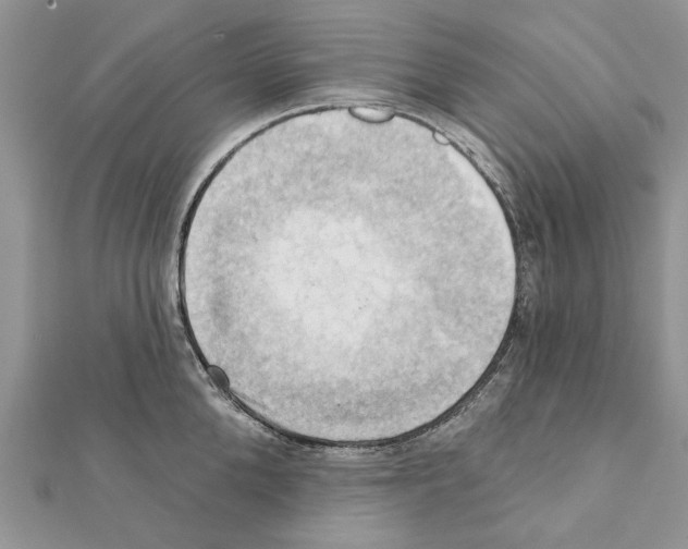 X0000111360904200908211254