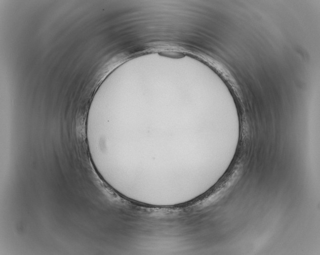 X0000111360905200908211254