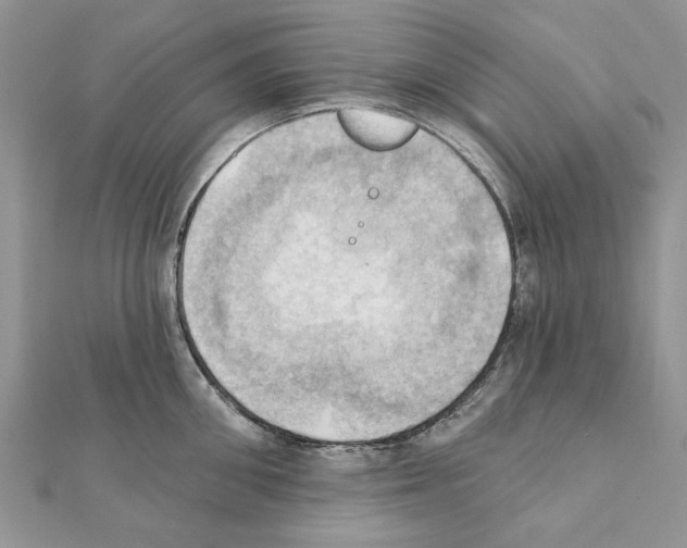X0000111360906200908211254