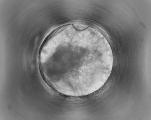 X0000111360907200908211254