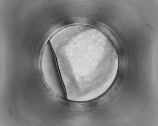 X0000111360908200908211254