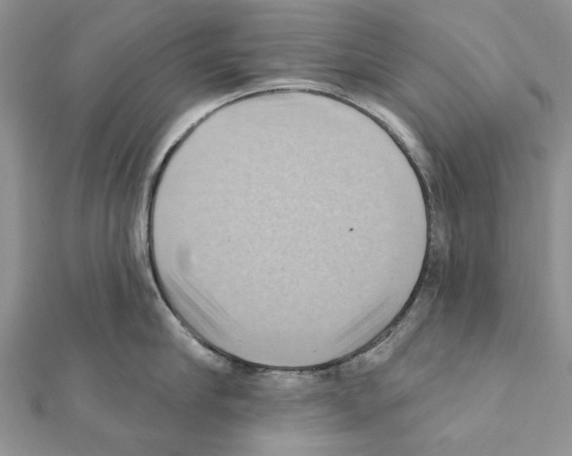 X0000111360910200908211254