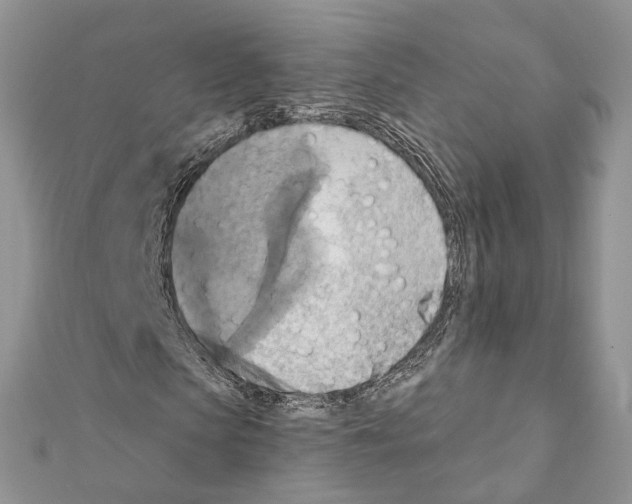 X0000111360913200908211253