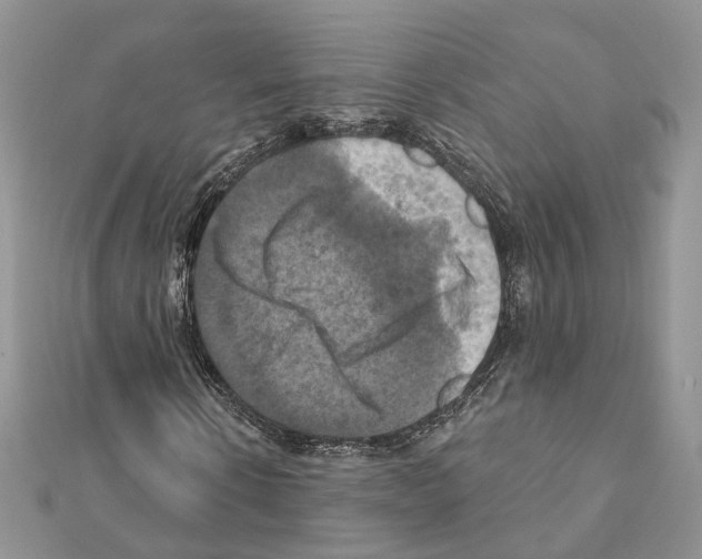 X0000111360914200908211253