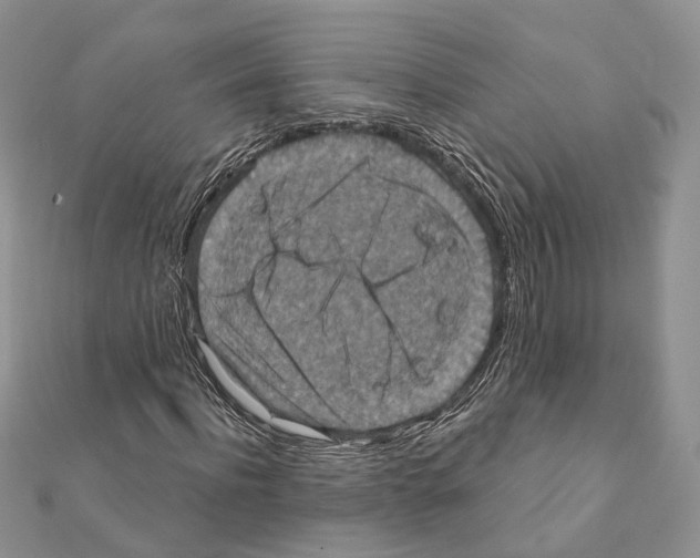 X0000111360916200908211253