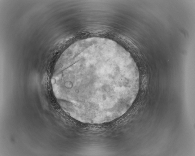 X0000111360917200908211253