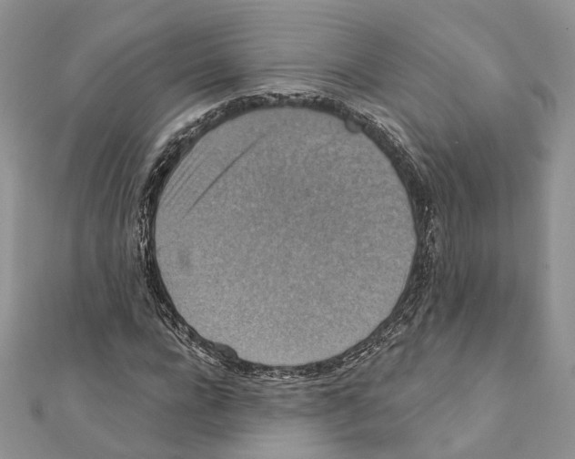 X0000111360920200908211253