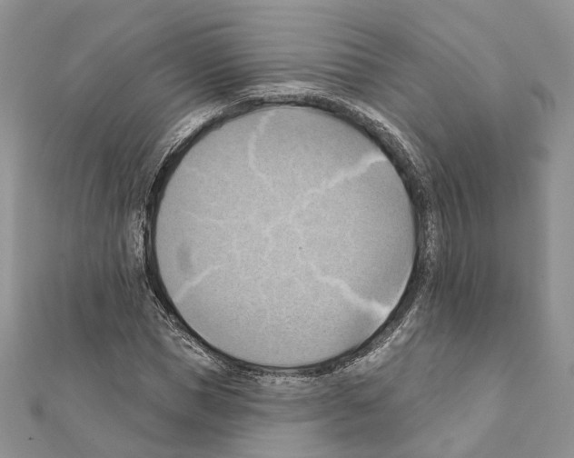 X0000111360921200908211254
